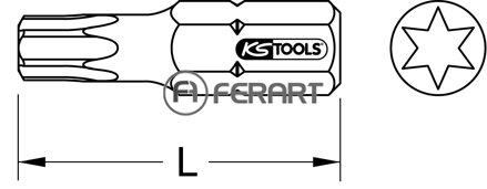 10mm CLASSIC bit Torx, 30mm, T10